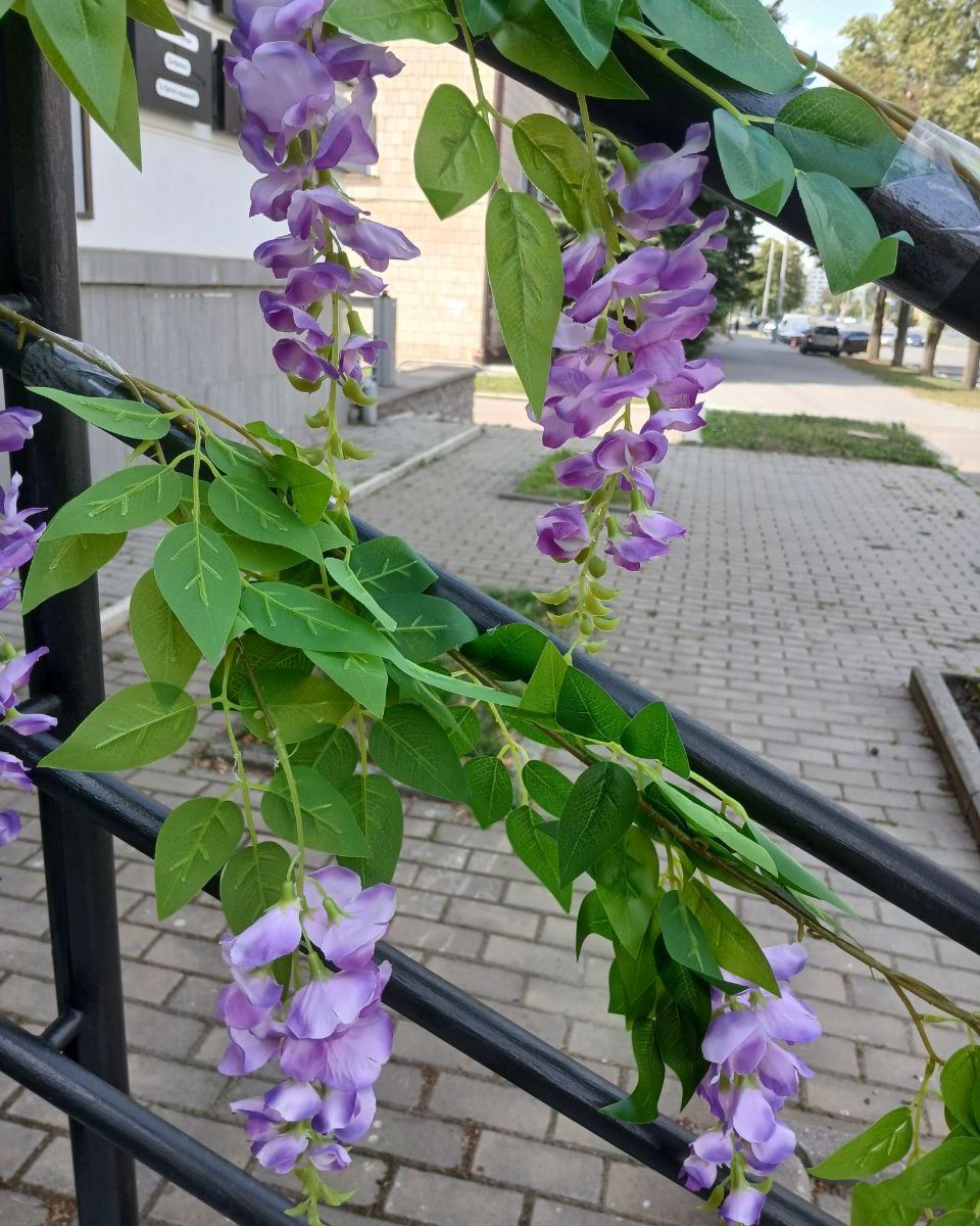 Штучна рослина Гліцинія, ліана (латекс), 200 см, бузкова